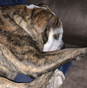 Meet your Posher, Aurora